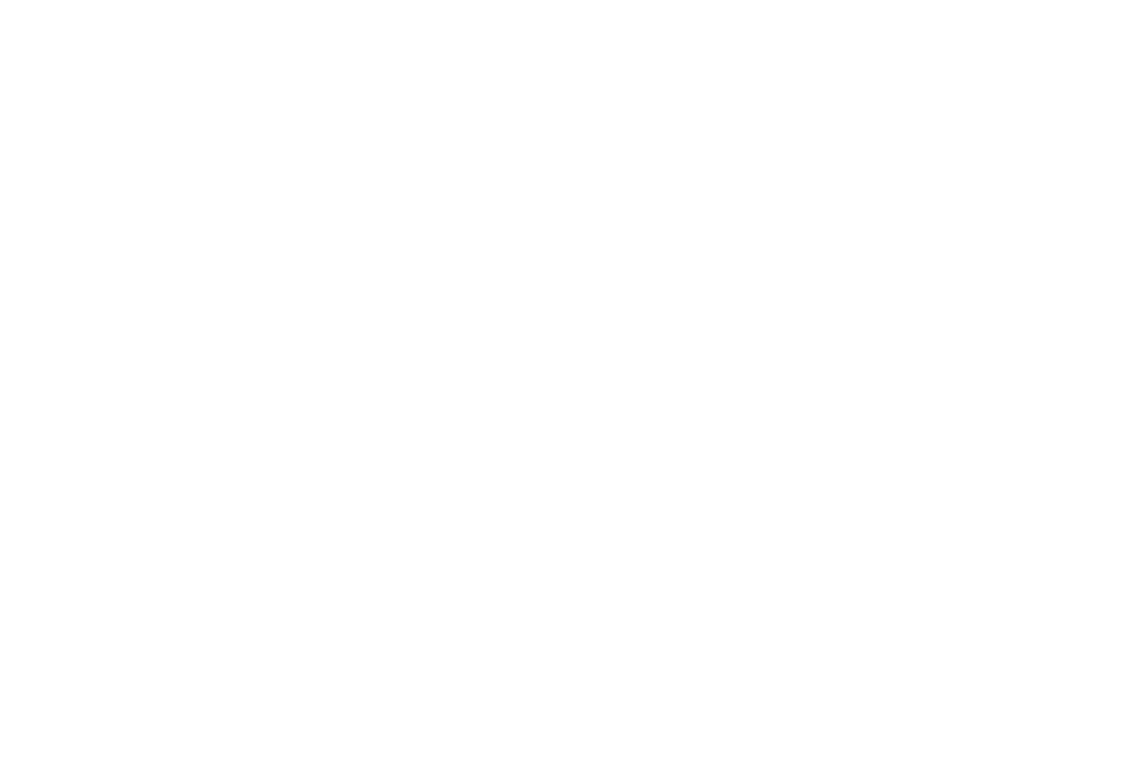 25-logo_hvid.png